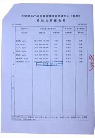 Shu Cha Hou Zhuan Shudaizi raw material 2008 compressed 2010 2000 g