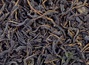Willow-herb black large leaf winter smoked Novgorod region