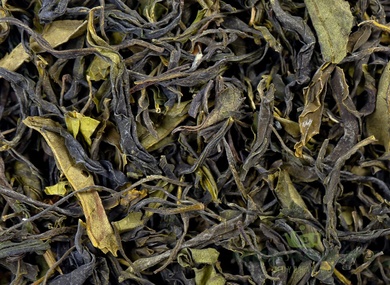 Krasnodar Green Tea from Khosta