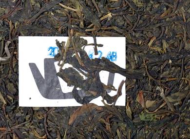 Jinxiu Gu Shu I Ke Shu Sheng Cha MoyChayru "Tea from the ancient millennial tree in Jingshu" 2017 357g