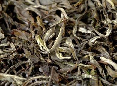 Loose Leaf Raw Puer Fengqing Dashu Shaiqing Sheng Cha Sheng Puer from the Big Tea Trees of Fengqing County