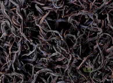 Willow-herb black large-leaf Tver region 2021