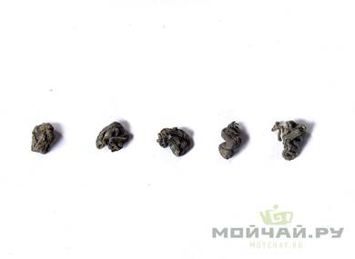 Jiaogulan jaogulan ginostemma five-leaved southern ginseng