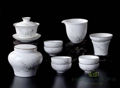 Tea ware set for a tea ceremony # 21291 gaiwan - 110 ml casserole pitcher - 150 ml teamesh 6 cups of 35 ml