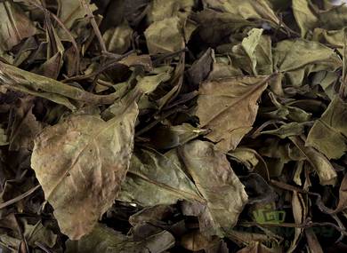 Zheng He Shou Mei Da Ye Zhong Shoumei from Zhenghe large leaf tea