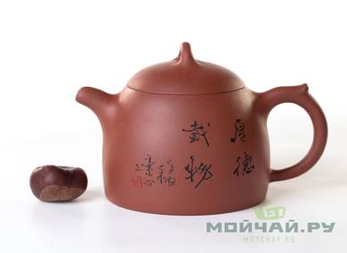 Teapot # 26461 yixing clay 330 ml