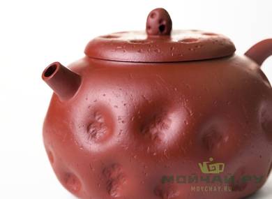 Teapot # 28369 yixing clay 170 ml