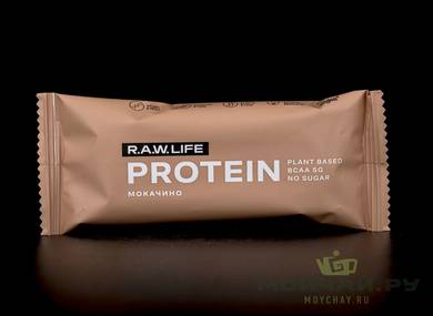 RAW LIFE Protein "Mocachino"