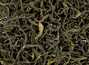Krasnodar green tea from Hosta organic hand picking june 2022