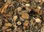 Herbal Tea «Motley grass»