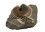 Decorative fossil # 31128 stone ammonite