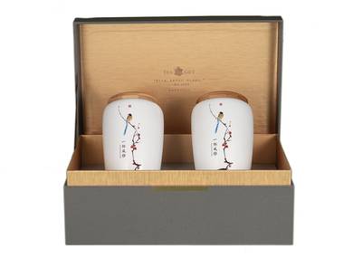 Gift tea set 2 teamesh # 33450 porcelain