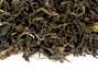 Thai green tea from wild tea trees spring 2021