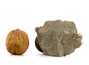Decorative fossil # 36995 stone ammonite