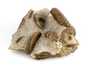 Decorative fossil # 37009 stone ammonite