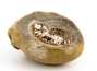 Decorative fossil # 37013 stone ammonite