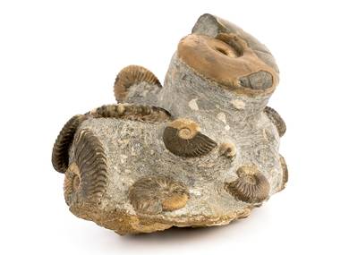 Decorative fossil # 37015 stone ammonite