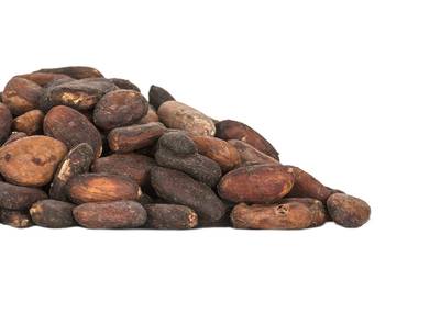 Fermented cocoa beans Venezuela Caranero
