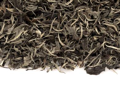 White Tea from Wild Tea Trees Moychay Tea Forest Project Thailand autumn 2022 bunch AU01-limited 54 kg 
