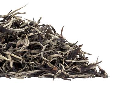 Thailand Maetaeng White Tea from the old Assamica trees Moychay Tea Forest Project Feb 2023