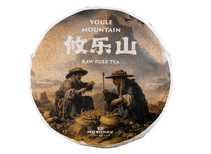 Raw Puer Youle Mountain raw puer tea Moychay harvest 2022 pressed in 2023 100 g
